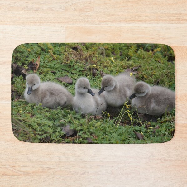 Item preview, Baby Swans designed and sold by SmileyJanelle.