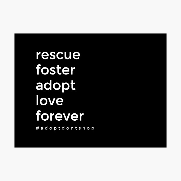 Animal Rescue Photographic Print