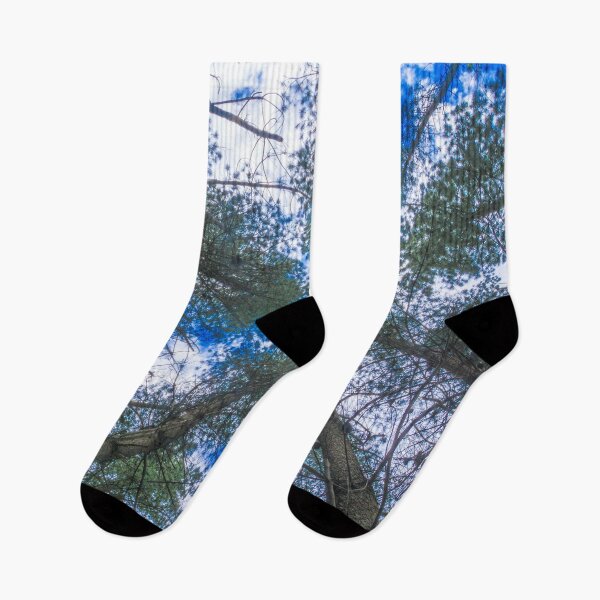 Item preview, Looking Up at Pines designed and sold by Steven Jodoin.