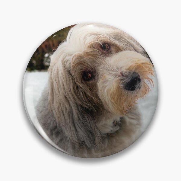 Item preview, Who, Me? designed and sold by Paul Thompson Photography.