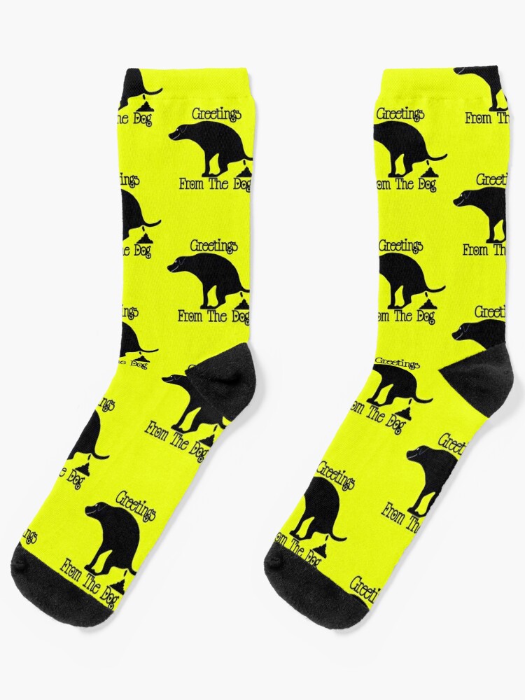 Greetings From The Dog  Socks for Sale by Willyboy16