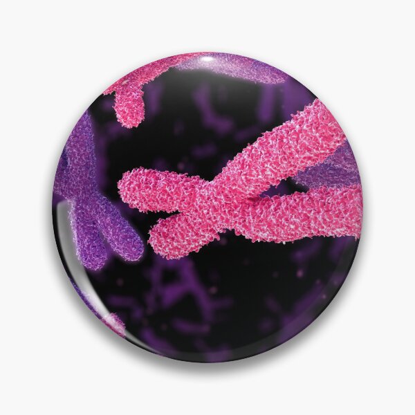 Item preview, Chromosome designed and sold by MDeAngelis.