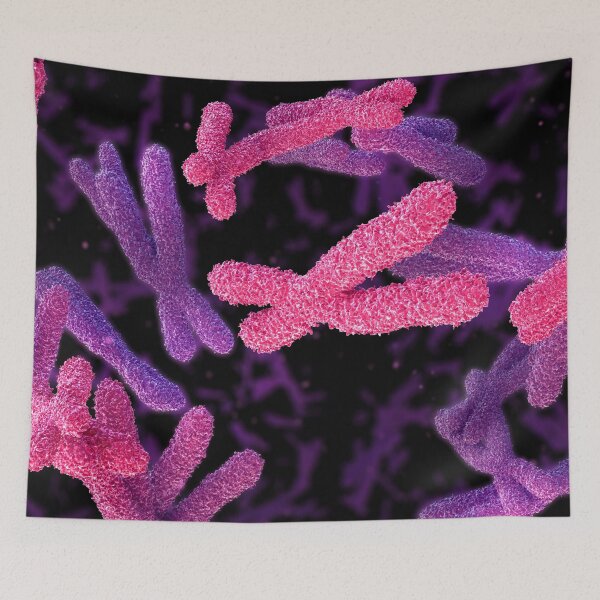 Item preview, Chromosome designed and sold by MDeAngelis.