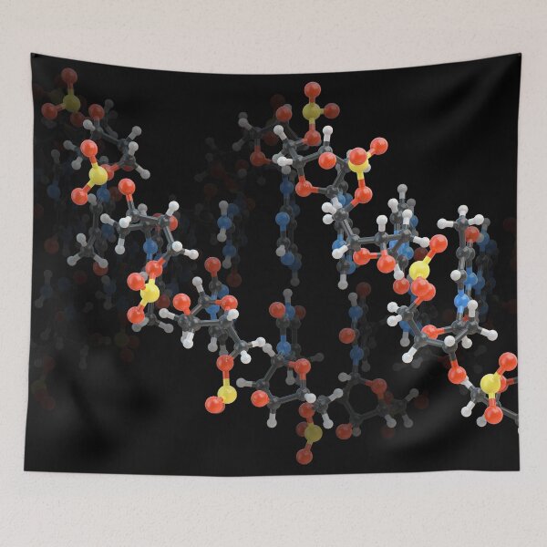 Item preview, DNA designed and sold by MDeAngelis.