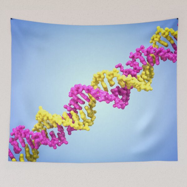 Item preview, DNA designed and sold by MDeAngelis.