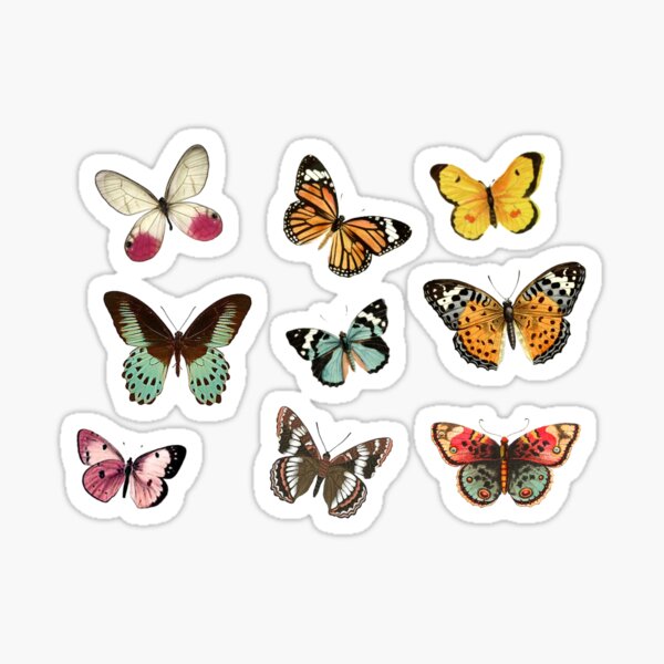 Item preview, Butterflies designed and sold by Stephanie Vanden Hoek.