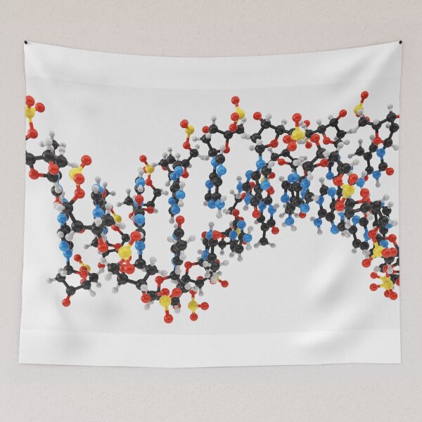 Item preview, DNA designed and sold by MDeAngelis.