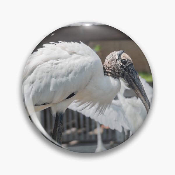 Item preview, King of  Wood stork designed and sold by KensLensDesigns.