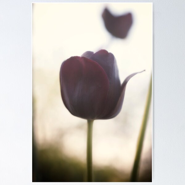 Item preview, patience designed and sold by Kelly LaFleur.