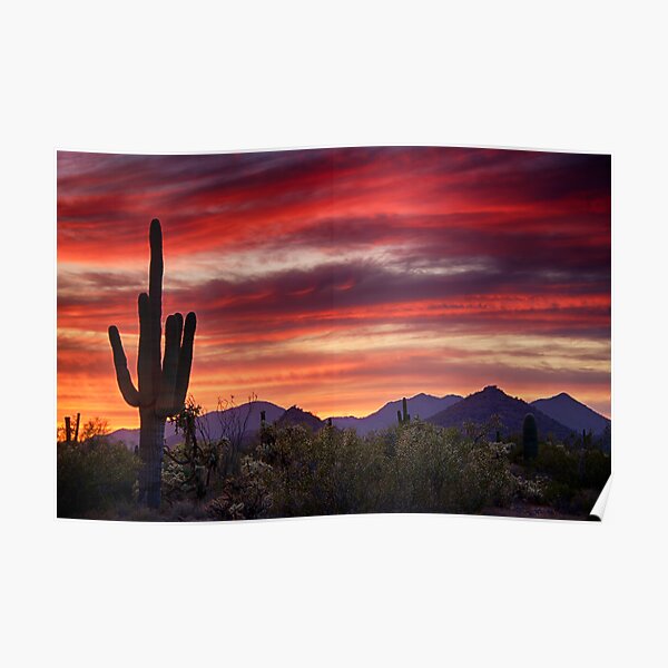 Red Hot Sonoran Sunset Poster