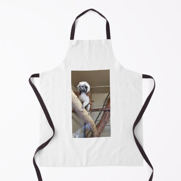 Item preview, Monkey business  Primates Cotton-top tamarin Blackpool Zoo designed and sold by Scottish Photography .