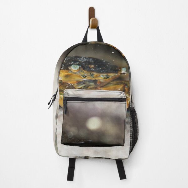 Item preview, Rock Crab - Stokes Beach, Kangaroo Island, SA designed and sold by imaginethis.