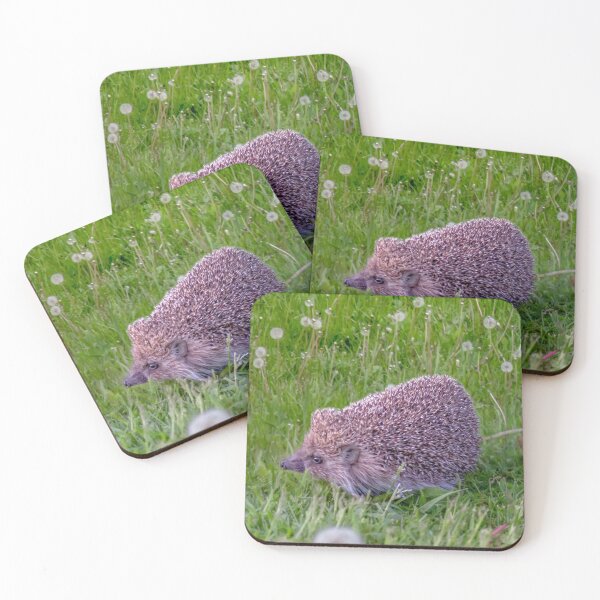 Item preview, Dandelion Run designed and sold by Svetlana Korneliuk.