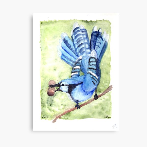 Blue Scoundrel Canvas Print