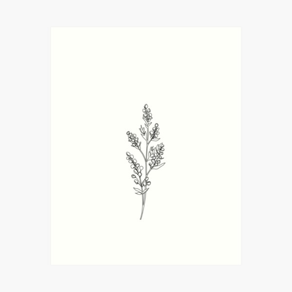 Item preview, Wildflower line drawing - Mae designed and sold by TheColourStudy.