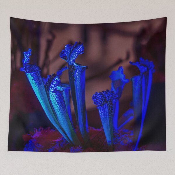 Item preview, Flytrap Sarracenia BLUE designed and sold by agrebila.