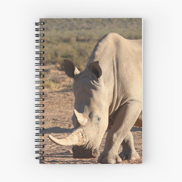 Item preview, Rhino designed and sold by LensIntoAfrica.
