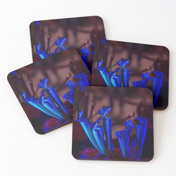 Item preview, Flytrap Sarracenia BLUE designed and sold by agrebila.