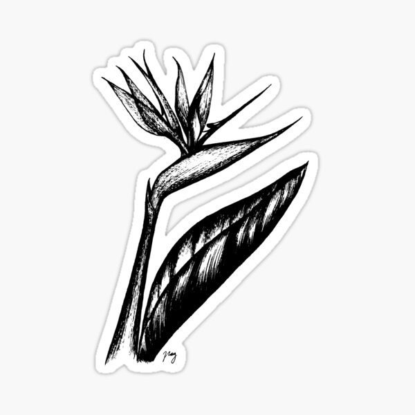 Bird Of Paradise Pegatina