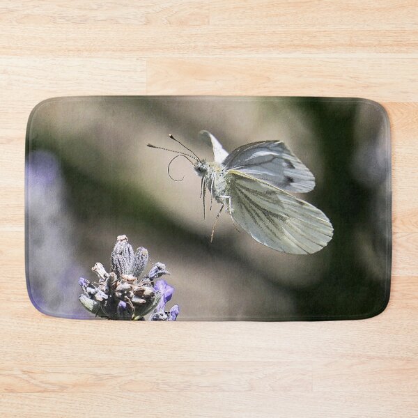 Item preview, r2338/ papillon en Vol  juillet 2020 par okaio Créations et son fz 2000  Olavia-Olao 2020 designed and sold by o.okaïo.