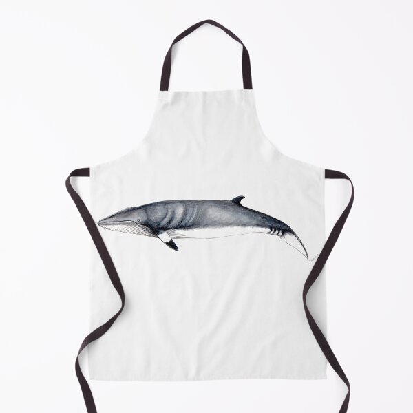 Item preview, Minke whale designed and sold by chloeyzoard.