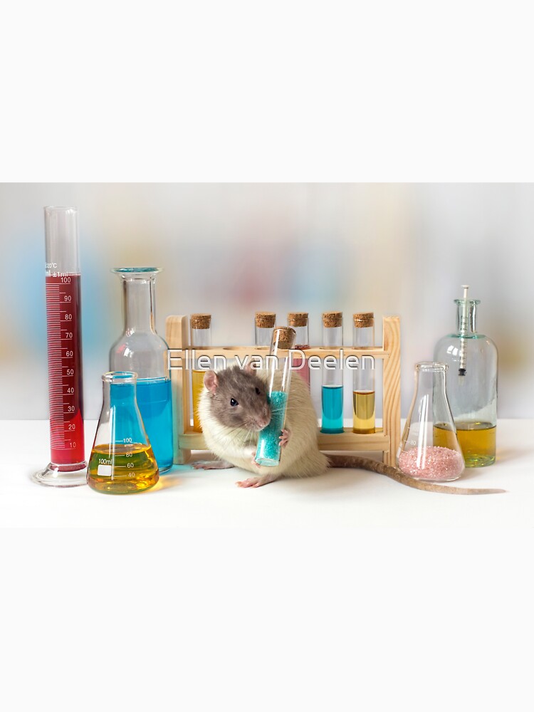 Working at the Laboratory by Ellen