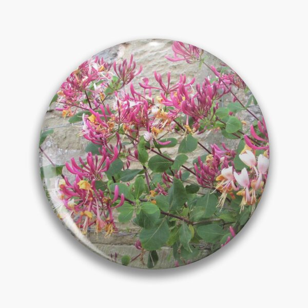 Item preview, Sweet Scented Honeysuckle on a Stone Wall at Croft Castle, Leominster designed and sold by GoNatureDesigns.