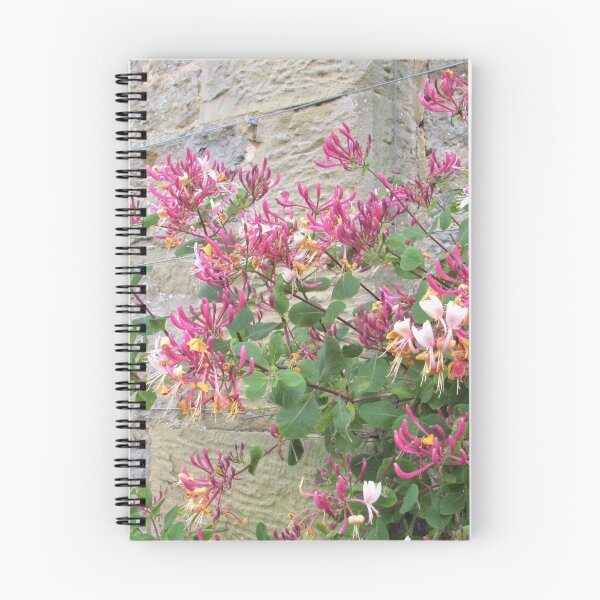 Item preview, Sweet Scented Honeysuckle on a Stone Wall at Croft Castle, Leominster designed and sold by GoNatureDesigns.