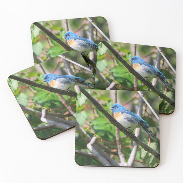 Item preview, Lazuli Bunting  designed and sold by DigitalGen.