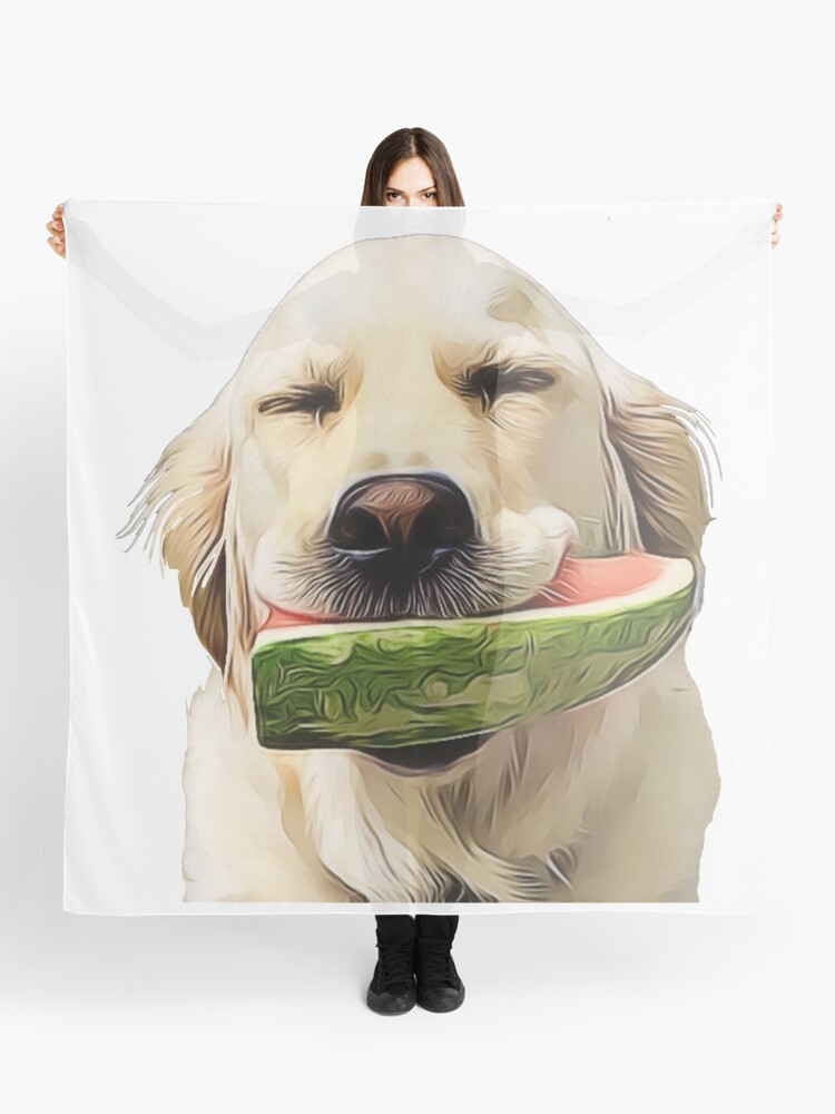 golden retriever scarf