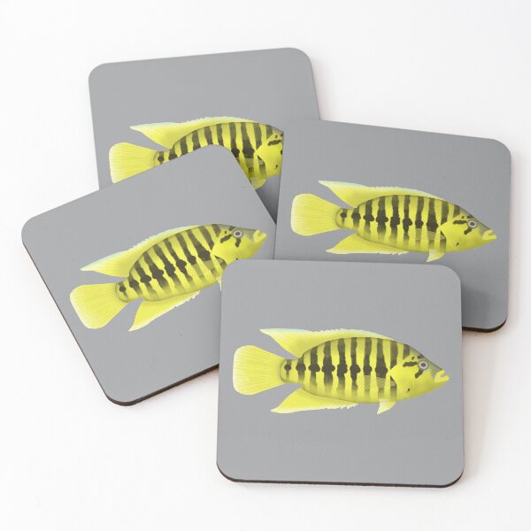 Item preview, Yellow Jacket cichlid designed and sold by fishfolkart.