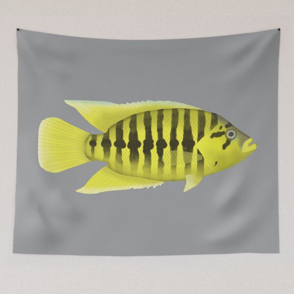 Item preview, Yellow Jacket cichlid designed and sold by fishfolkart.