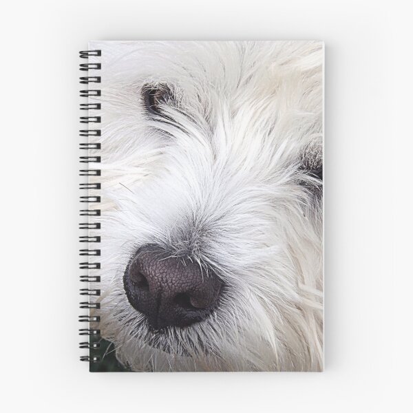 Aperçu de l'œuvre  désolé Terrier! Avec son manteau blanc créée et vendue par William Lighterness.
