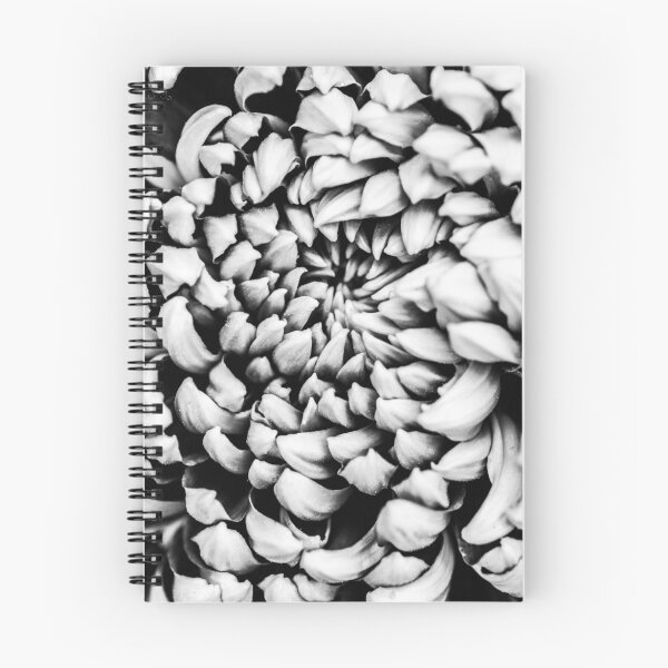Item preview, Appreciate Everything designed and sold by Jessica Manelis.
