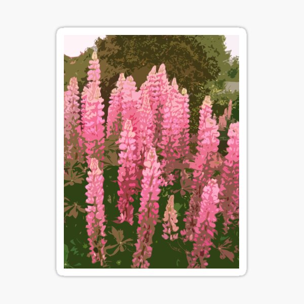 Loopy Lupins Sticker