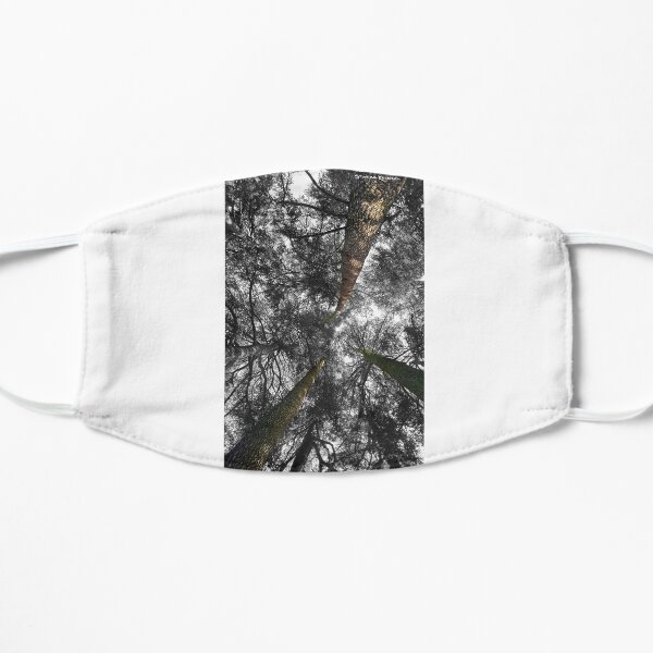 Lost in the Forest Mask