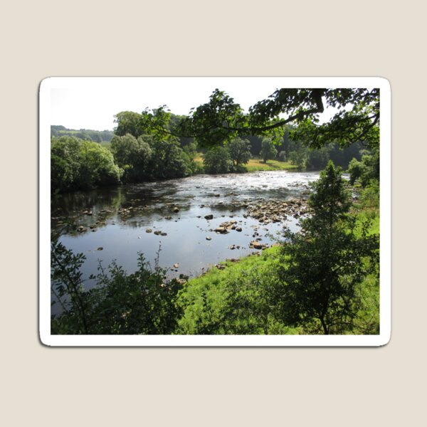 Merch #94 -- Stream Between Trees - Shot 3 (Hadrian's Wall) Magnet