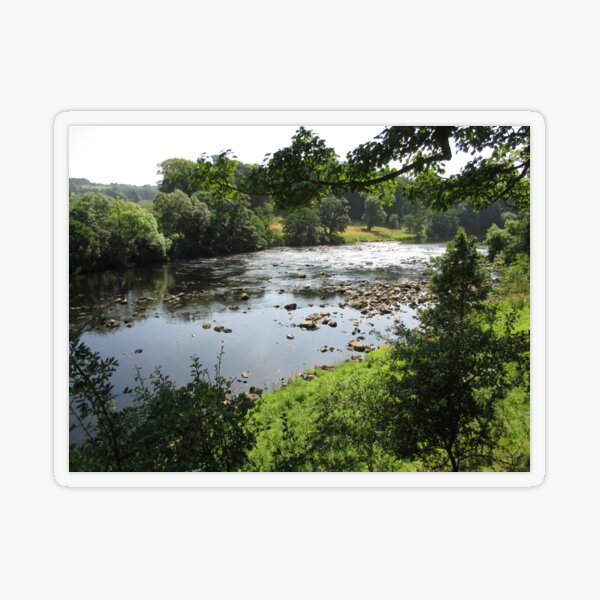 Merch #94 -- Stream Between Trees - Shot 3 (Hadrian's Wall) Transparent Sticker