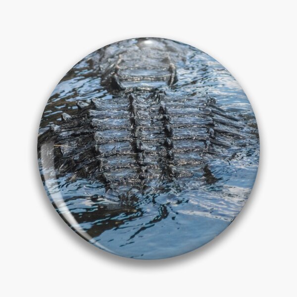 Item preview, Alligator Spine designed and sold by KensLensDesigns.