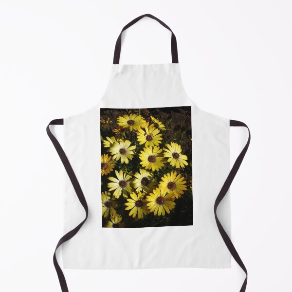 Item preview, Osteospermum designed and sold by Chris Petty.