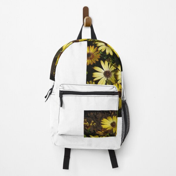 Item preview, Osteospermum designed and sold by Chris Petty.