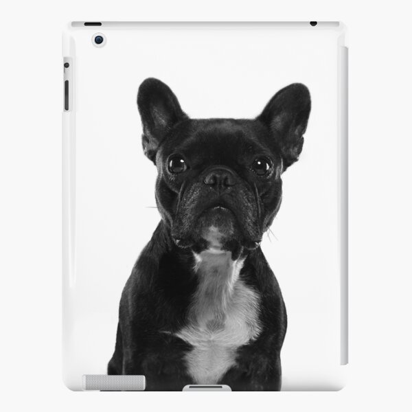 Sushi The Little French Bulldog Portrait iPad Snap Case