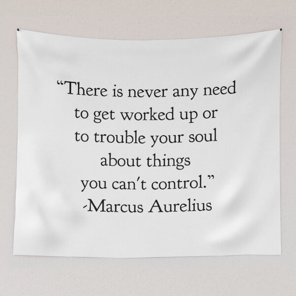 Aperçu de l'œuvre Marcus Aurelius créée et vendue par EvolutionWisdom.