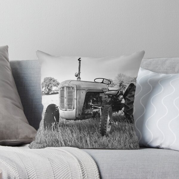 Item preview, 1956 Ferguson FE35 Grey Gold designed and sold by broady77.