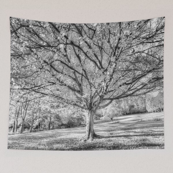 Item preview, The Autumn Ghost Tree designed and sold by Londonimages.