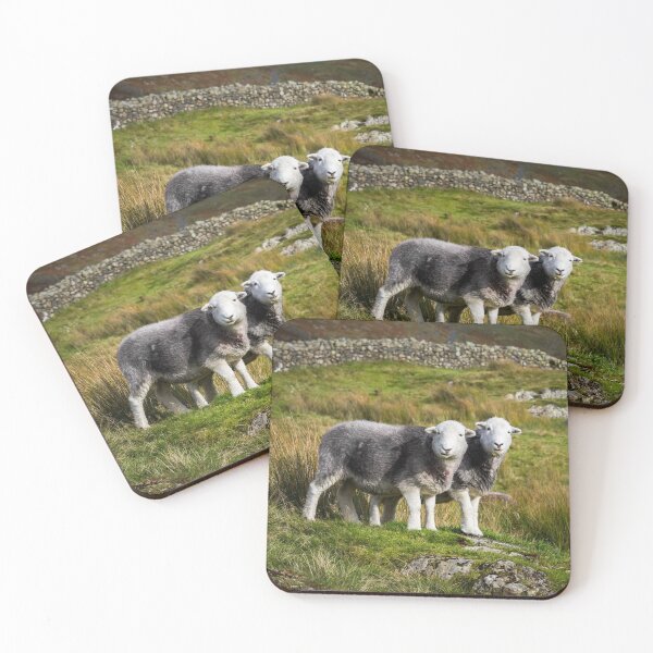 Item preview, Herdwick Sheep Landscape designed and sold by Jane Stanley Photography.