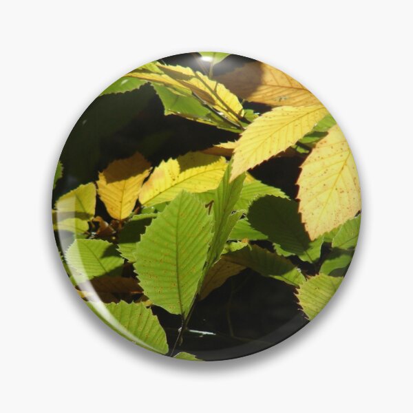 Item preview, Sweet Chestnut designed and sold by Chris Petty.