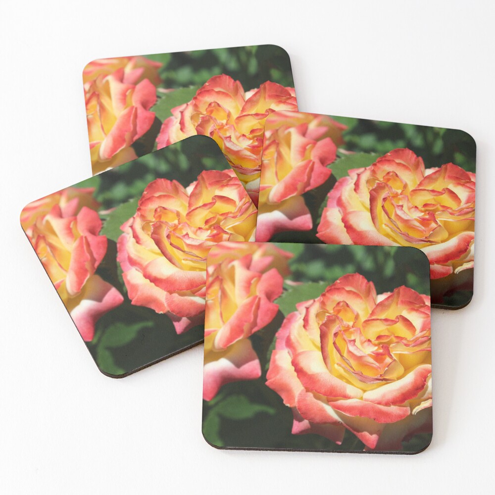 Item preview, Coasters (Set of 4) designed and sold by BlurredPines.
