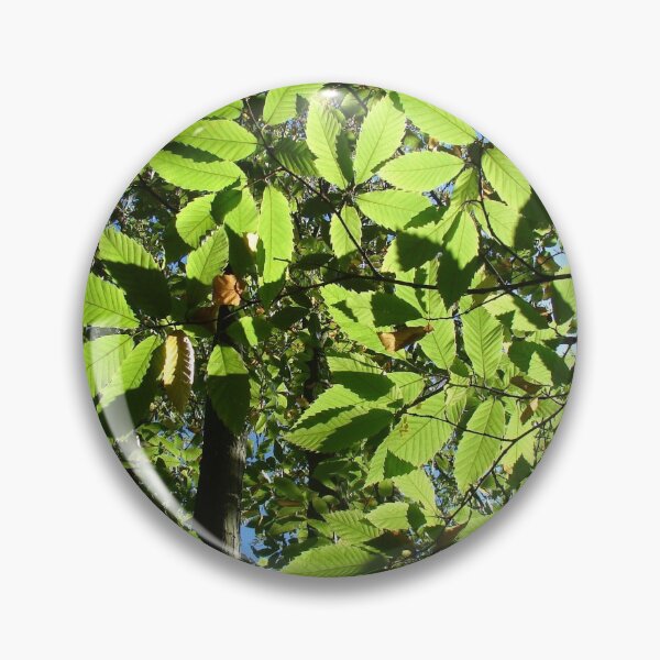 Item preview, Sweet Chestnut Leaves designed and sold by Chris Petty.