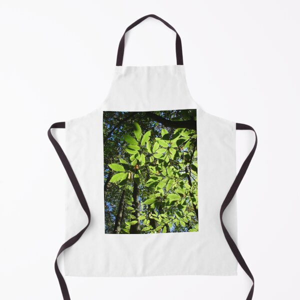 Item preview, Sweet Chestnut Leaves designed and sold by Chris Petty.
